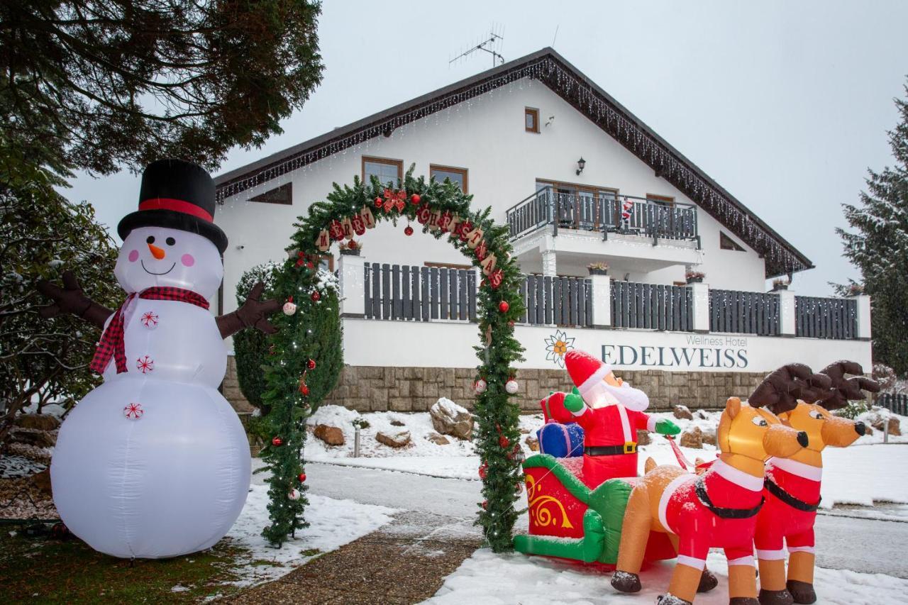 Wellness Hotel Edelweiss Liberec Eksteriør billede